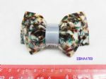 Acrylic Hair Clip