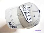 Sports Cap