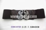 Elastic Belts