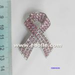 Awareness brooch