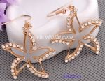 Diamantes anti-allergic drop earring