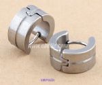 Stainless steel earrings
