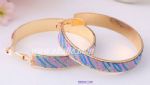Polished fashion hoop earrings