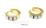 Hoop stainless steel earrings
