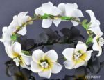 Frangipani Garland 