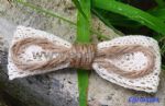 Big bowknot hiar clips