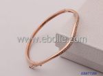Wholesale fashion gold plated metal bangle