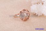 Titanium steel crystal ring