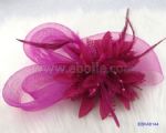 Mysterious Fascinators