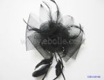 Mysterious Fascinators