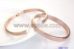 Frosted Metal Bangle