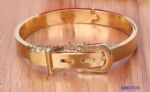 Belt designs metal bangle